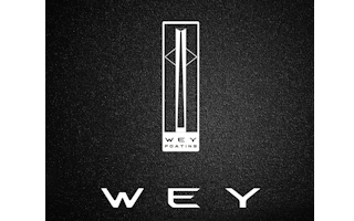 Ремонт АКПП робот WEY